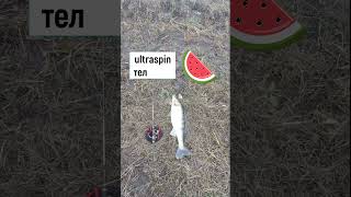 Ультралайт в Ростове #ultraspin #ультралайт #мормышинг #микроджиг #рыбалка #спиннинг