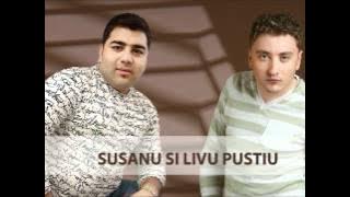 Susanu si Liviu Pustiu - Tu romanca , eu tigan