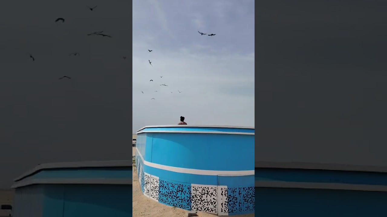 11/2/2026 بر الثامن المناقيش هواء جنوب غربي 35-45