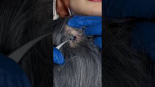 Bugs 🕷️ #asmr #satisfying #visualtingle # #mouthwhisper #relax