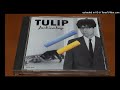 TULIP チャイニーズ・ドレス