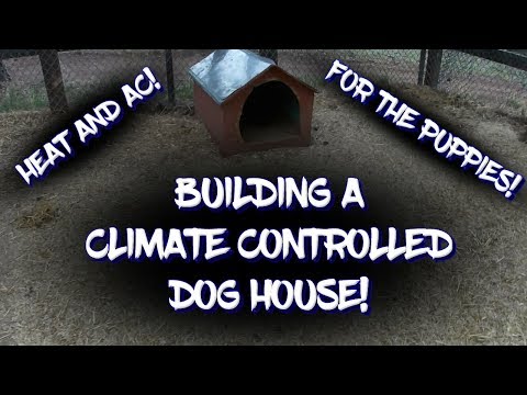 building-a-climate-controlled-dog-house