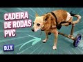 COMO FAZER CADEIRA DE RODAS PARA CACHORRO E GATO