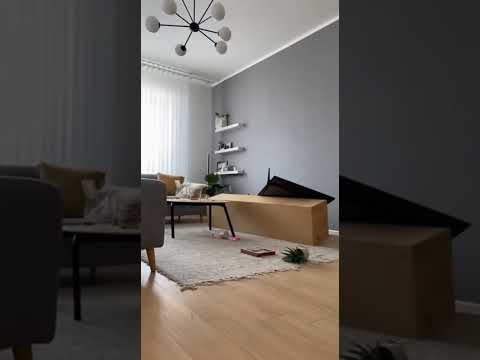 Video Il gatto e il palloncino esplosivo!