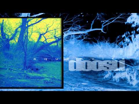 Doosu - Pennies