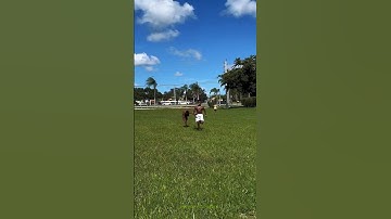 THIS WHY WE CALL HIM SPEED..#youtube