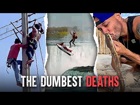 The Dumbest Ways People Didn't Survive
