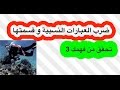 رياضيات 4 ضرب العبارات النسبية وقسمتها تحقق من فهمك 3 mp3