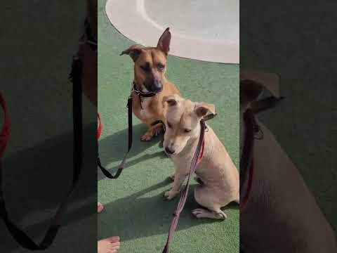 Update video