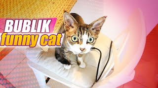 Bublik the cat loves bath by Bublik funny cat 234 views 2 years ago 9 minutes, 29 seconds