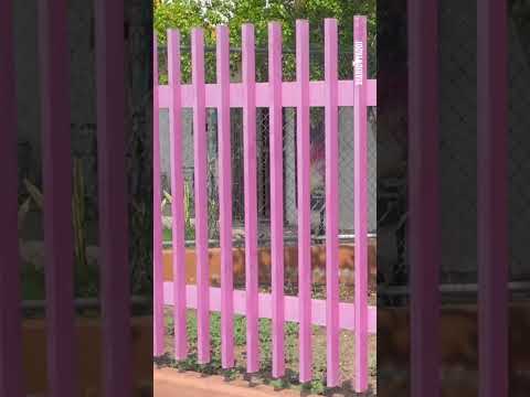 Video Youtube C2KIVrt2n7I