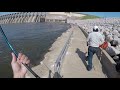 First 5 casts striper fishing below Keystone Dam Oklahoma