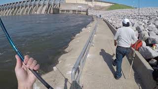 First 5 casts striper fishing below Keystone Dam Oklahoma