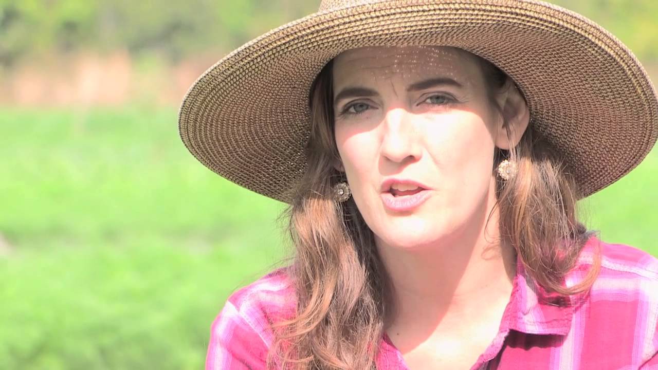 Organic Sound and Sensible Project - What Does Organic Certification Cost?