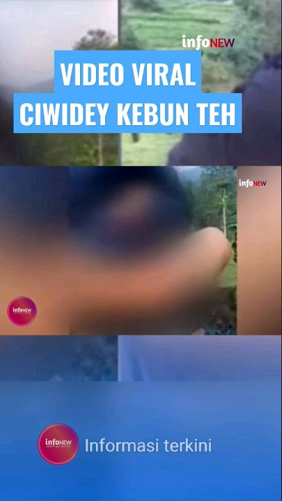 VIDEO VIRAL CIWIDEY KEBUN TEH #short