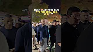 Tiger 🐯 attacks TATE at $97M DUBAI ZOO 😲😱