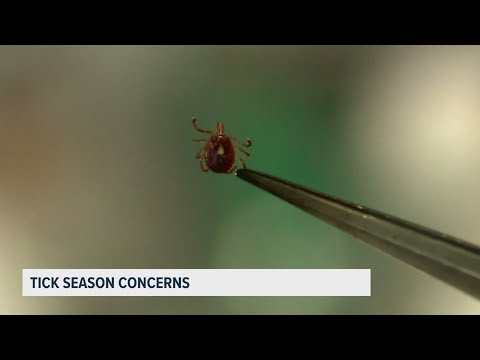 Video Heart failure in the young, a breast cancer warning and why this tick season demands your attention