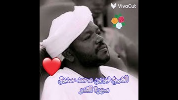 الشيخ نورين محمد صديق  سورة القدر