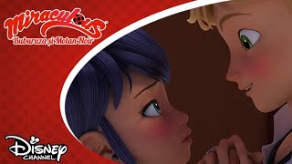 🎭 Față în față | Miraculos: Buburuza și Motan Noir | Disney Channel România