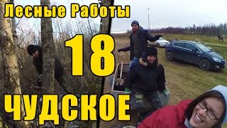 Чудское 18 - Лесные Работы