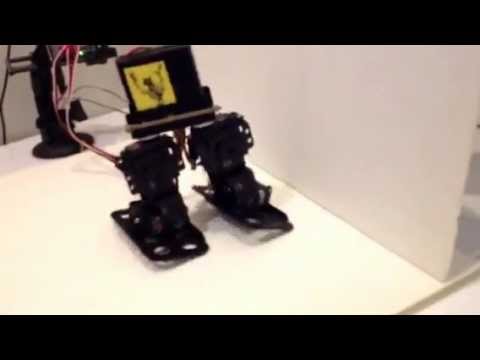 Biped Robot Walking (Johnny-Five, Arduino, Node.js, JavaScript)