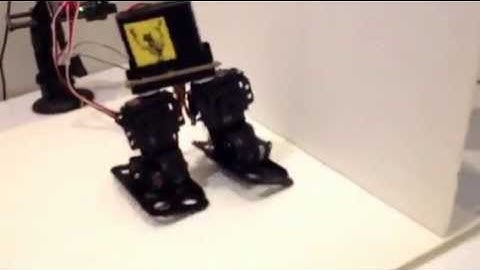 Biped Robot Walking (Johnny-Five, Arduino, Node.js, JavaScript)