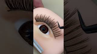 Ash Brown Lash Extensions • The Cool-Toned Lash Trend You Need