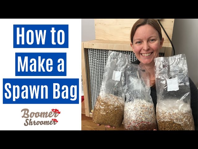 1LB Sterilized Grain Spawn Bag | Easy Shroom