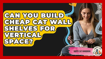 Can You Build Cheap Cat Wall Shelves For Vertical Space? - Happy Cat Handbook