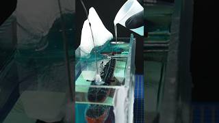 Submarine Diorama-☝️ #shorts #shortvideo #resinart #diorama #3dprinting #submarine #art #scalemodel