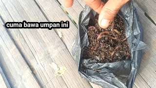 Magic bait II for fishing Tanjung Bagan Hook
