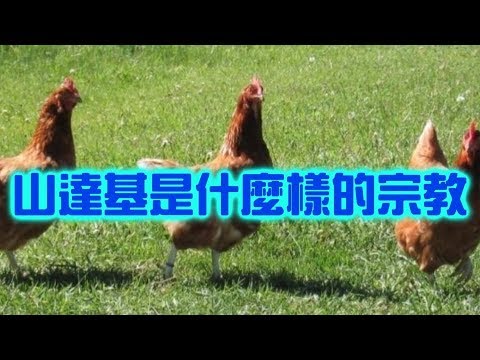 6分鐘讓你搞懂山達基【搞宗教008】