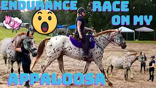 I DID AN ENDURANCE RIDE ON MY APPALOOSA|Vlog|What can you expect at a ride?