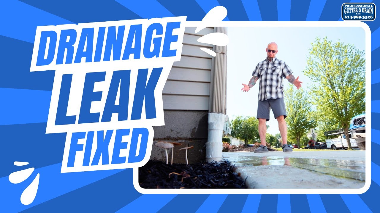 Water Invading Your Home? We Fix Drainage Problems Right the First Time