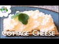 How to Make Cottage Cheese that Tastes Like Store-bought!