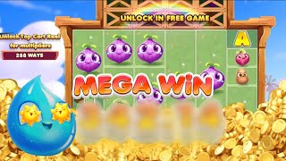 BASE GAME MEGA WIN WITH FARMLAND FRENZY MAXWAYS | Spadegaming screenshot 4
