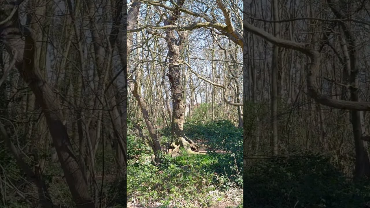 kesgrave Suffolk, UK. (1)