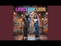 Liebe Liebe Liebe