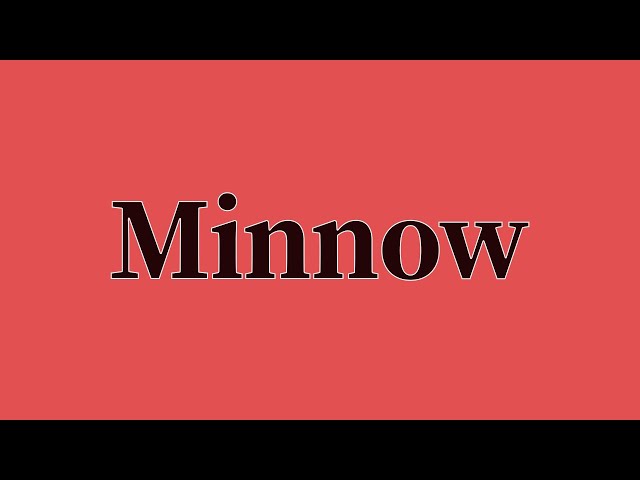 Minnow Pronunciation and Meaning 