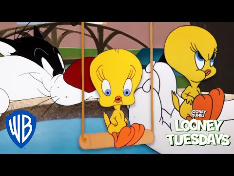 Looney Tuesdays | 15 Times Tweety Almost Got Caught By Sylvester | Looney Tunes | @WB Kids