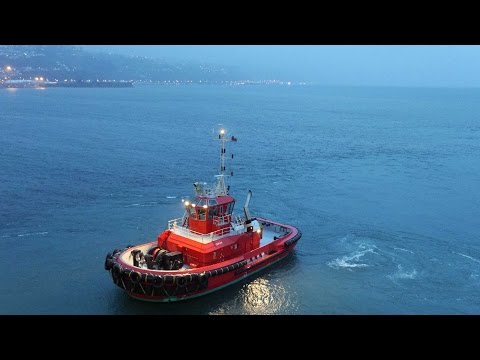 Tapuhi and Tiaki : Tugs at Wellington NZ