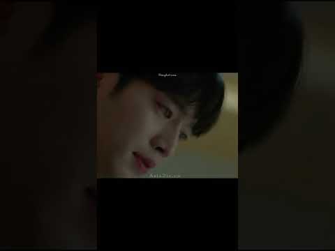 مسلسل الشبكة