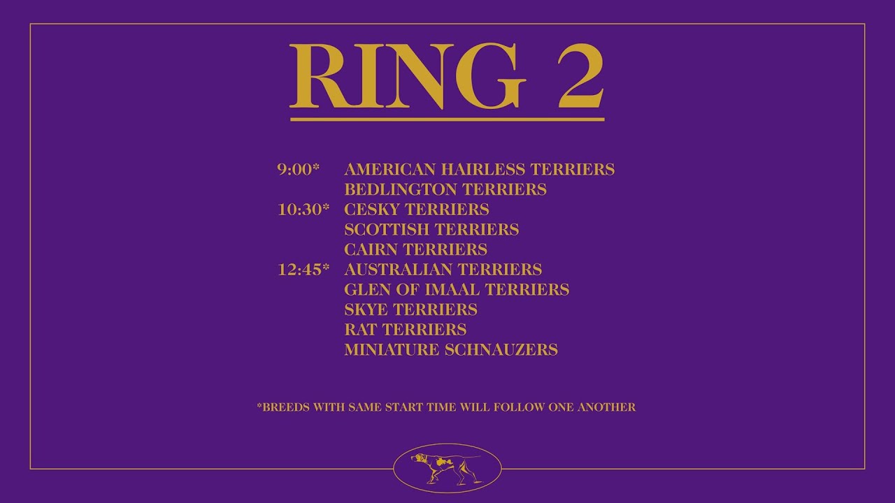 Skye Terriers | Breed Judging 2026