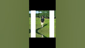 beat songs editing photo video #kinemaster #capcuttemplate #capcut #vn #capcutedit #capcuttutorial