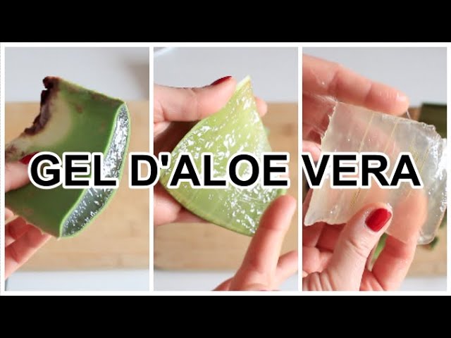 COMMENT EXTRAIRE du GEL d'ALOE VERA