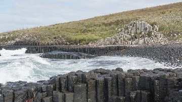 Basalt Columns - The Chatham Islands