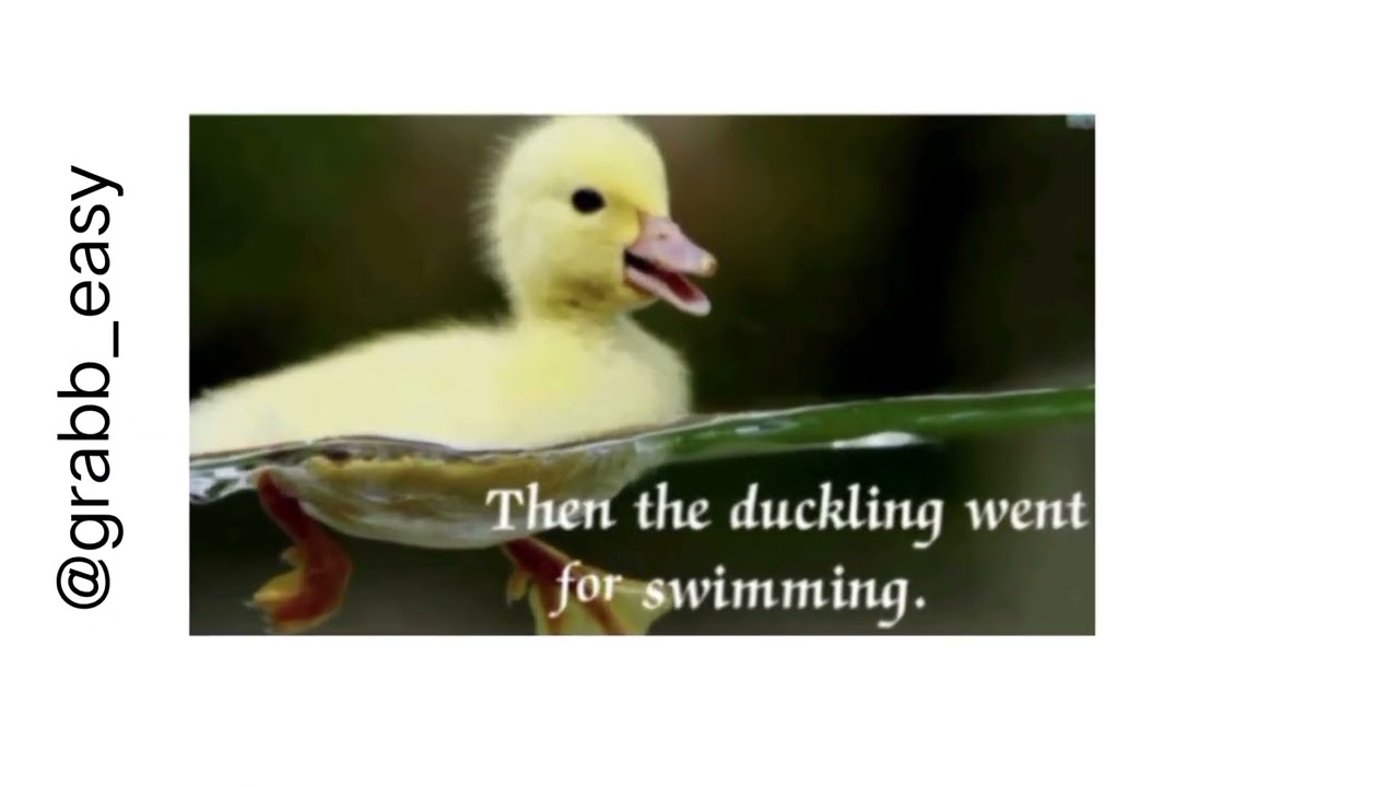The chick and the duckling| nursery,LKG,UKG rhyme | story by pictures| easy way to understand| 
