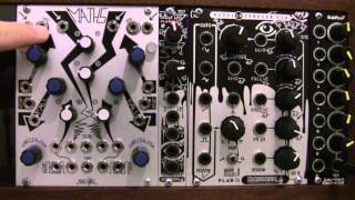 Modular Wild Presents Maths Minute-Arcade Trill Profile