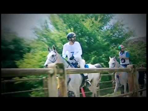 أكاديان وفيرونا