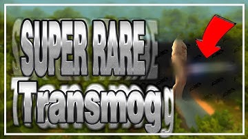 Get this SUPER RARE Transmog item│World of Warcraft